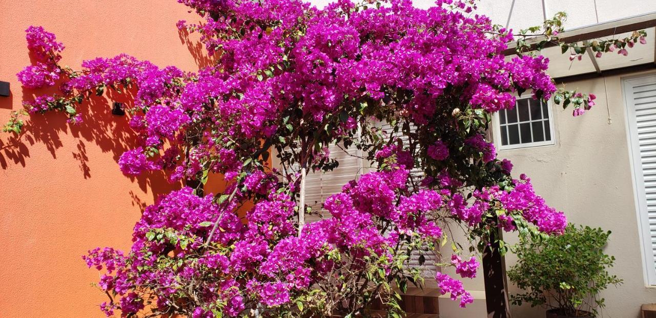 Pousada Das Orquídeas 5*
