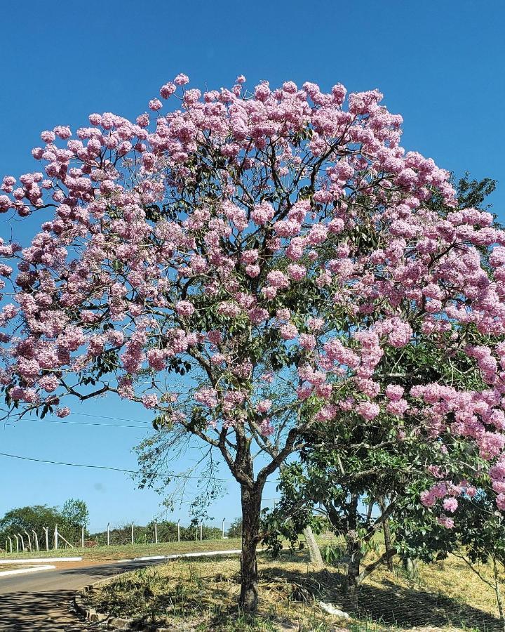 Orquídeas Inn Chapada dos Guimarães